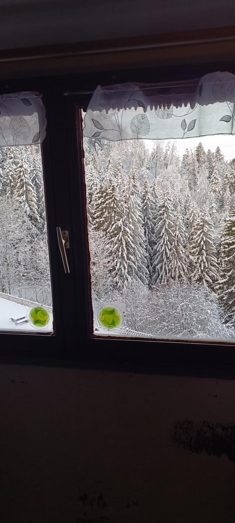 Appartement Dernier Etage Au Pied Des Pistes Hirmentaz Bellevaux Kültér fotó